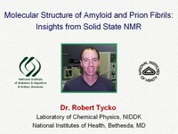 Molecular structure of amyloid and prion fibrils: insights from solid state NMR