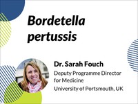 Bordetella pertussis