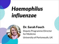 Hemophilus influenzae