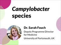Campylobacter species