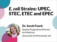 E. coli strains: UPEC, STEC, ETEC and EPEC