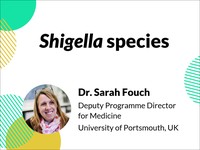 Shigella species